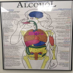 Alcohol Chart